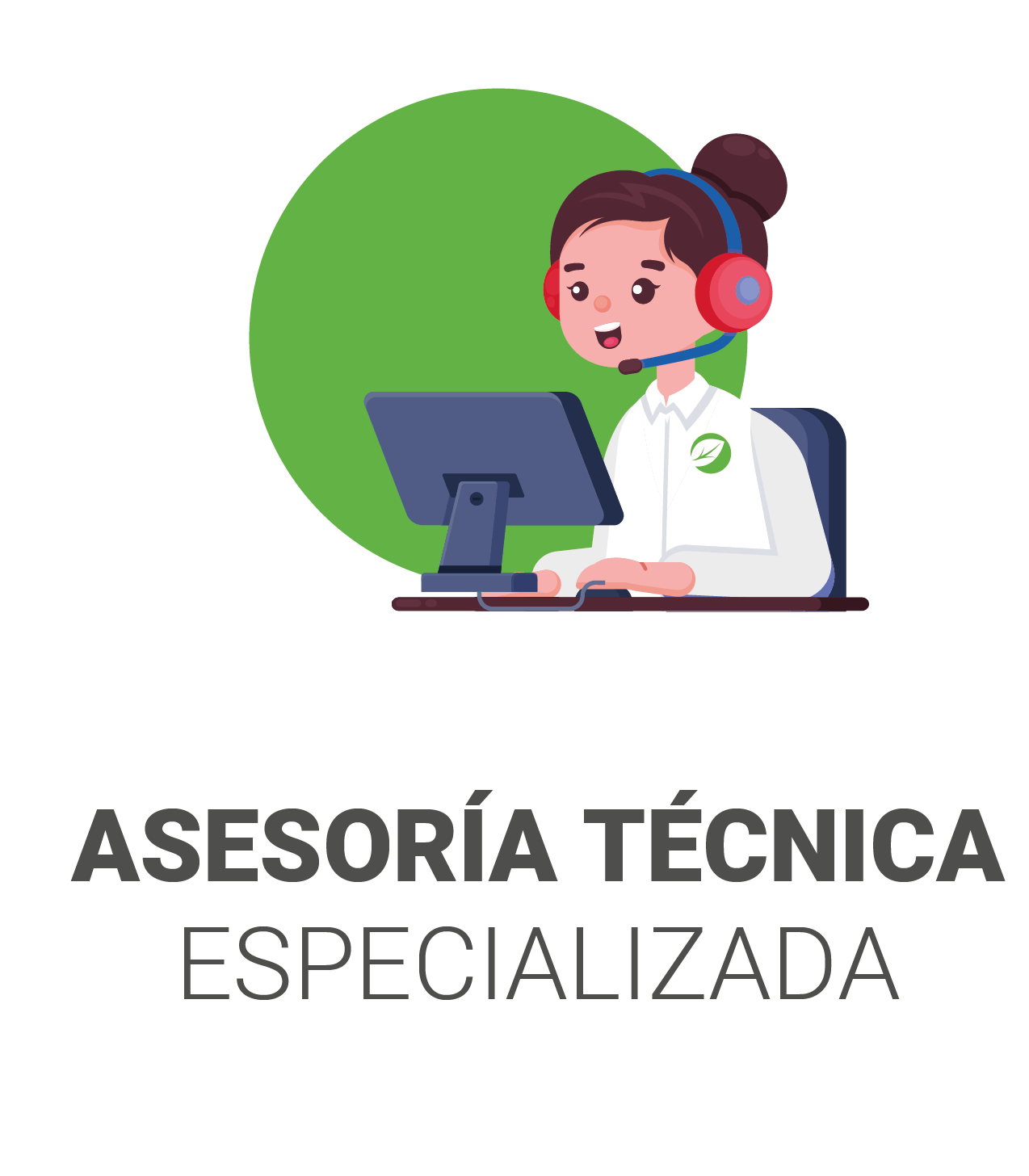 Asesoría técnica especializada