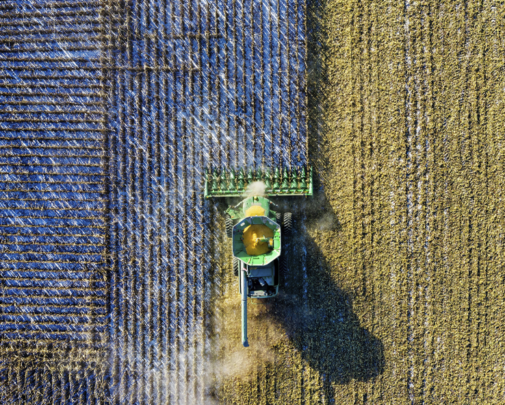 El trabajo de los productores en el campo ha sido esencial para la economía mexicana.