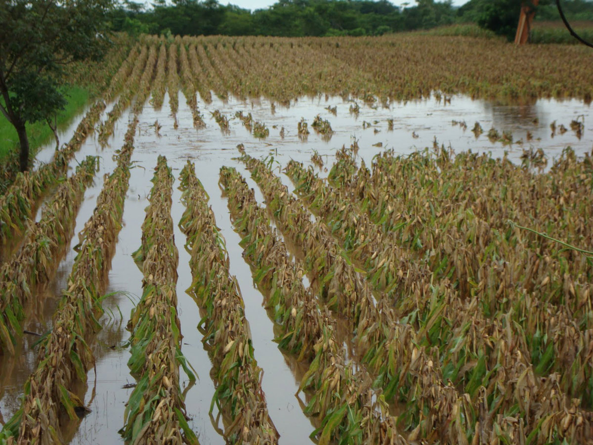 Fuente: Tierra Fértil. 